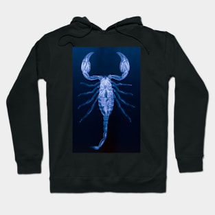 X-ray of the scorpion, Palamnaeus fulvipes (Z420/0010) Hoodie